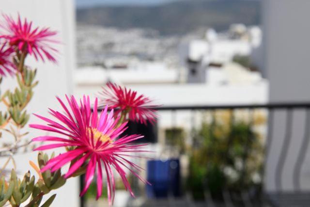 Emelce Apart Bodrum Exteriér fotografie