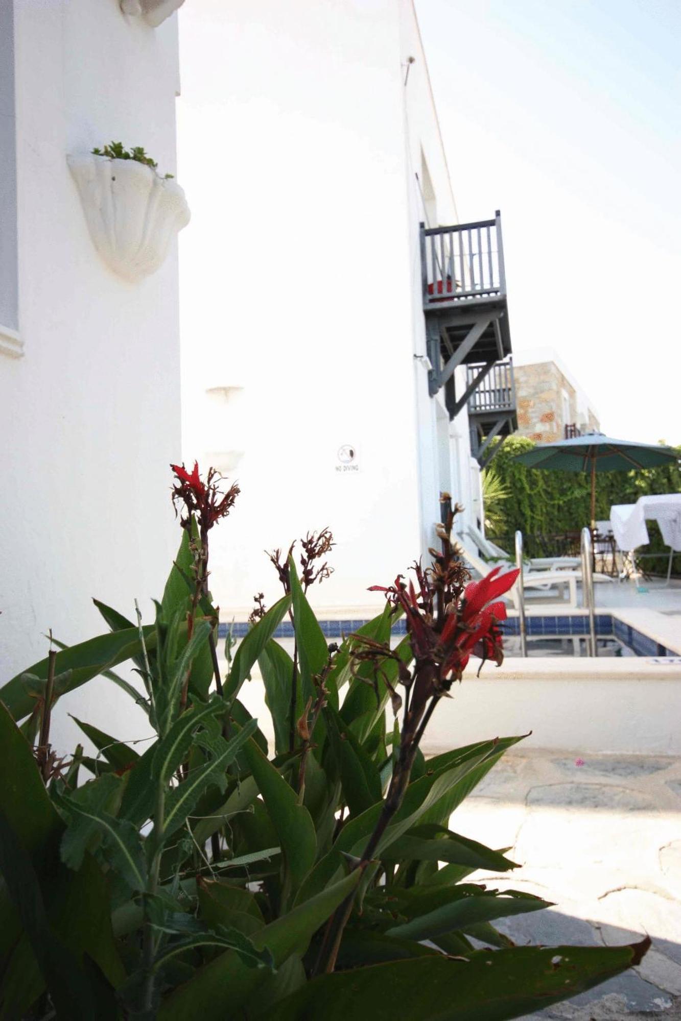 Emelce Apart Bodrum Exteriér fotografie